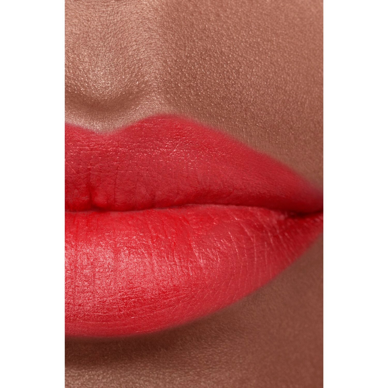 LA BARRA DE LABIOS ATERCIOPELADA LUMINOSA
